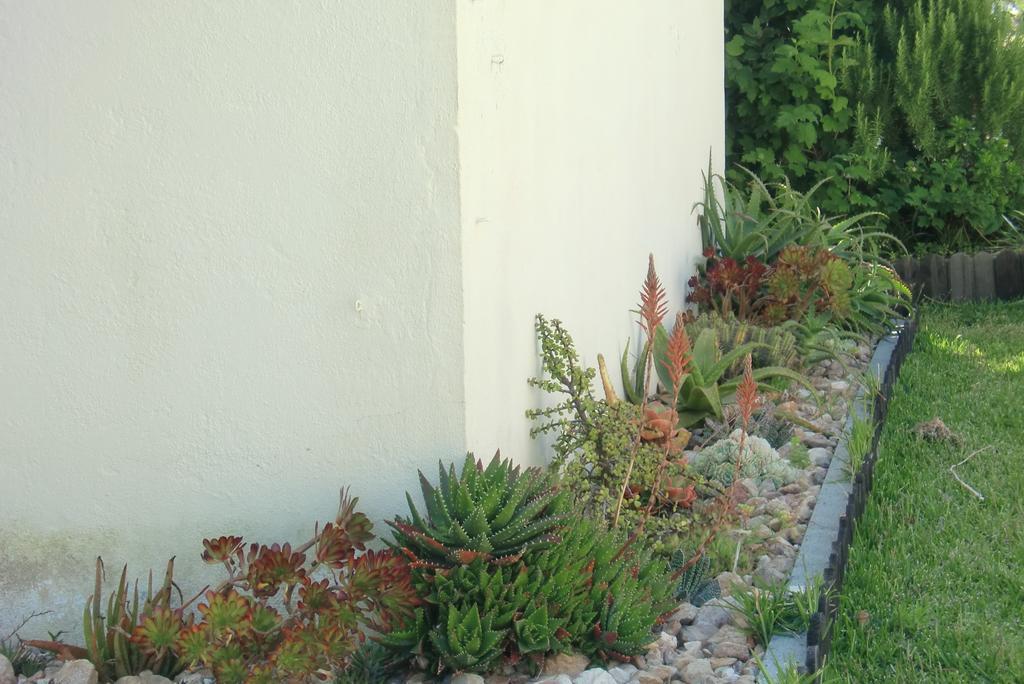 Quinta Da Harmonia Apartamento Azeitão Exterior foto