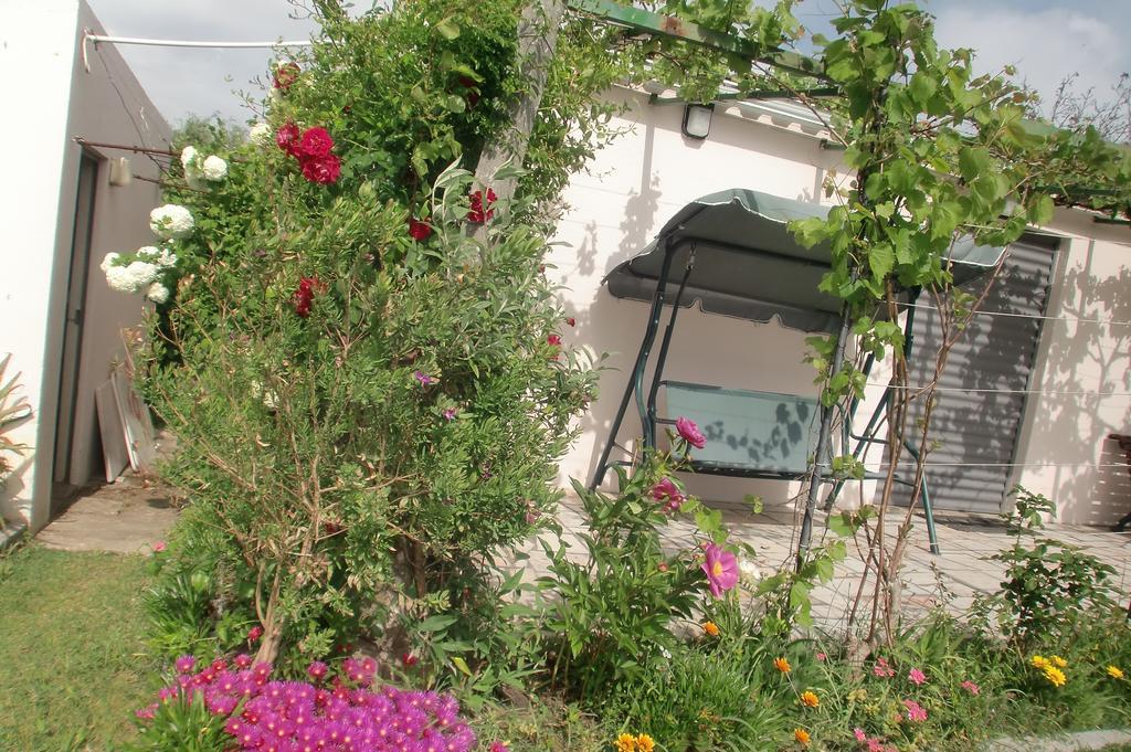 Quinta Da Harmonia Apartamento Azeitão Exterior foto